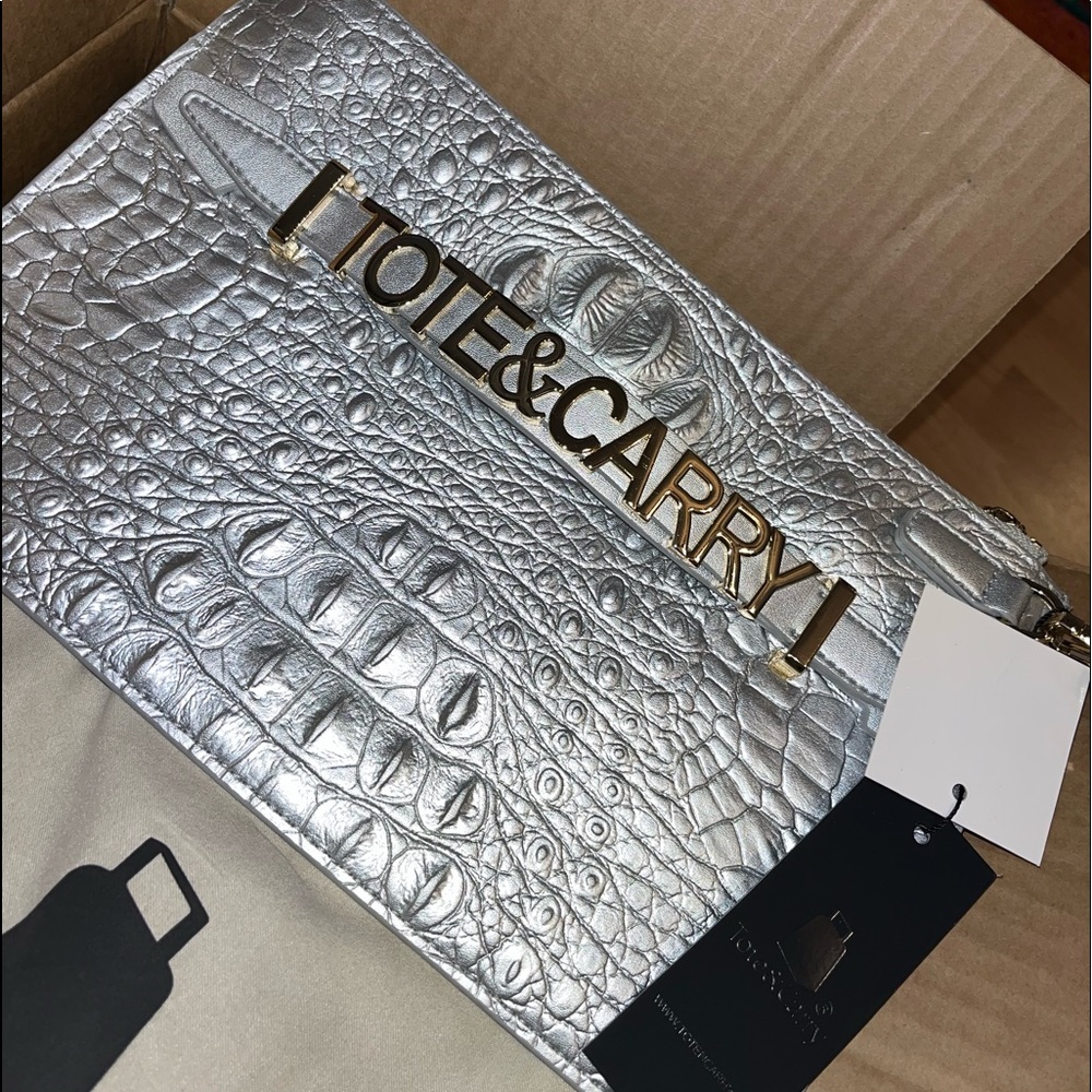 Tote & Carry Silver Apollo 2 Clutch Purse - XLarge